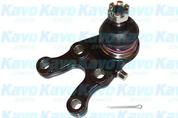 Несущий / направляющий шарнир KAVO PARTS SBJ-3022