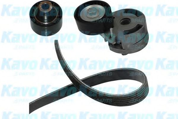 Комплект клинового ремня KAVO PARTS DKM-4501