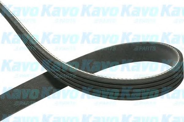 Поликлиновой ремень KAVO PARTS DMV-1008