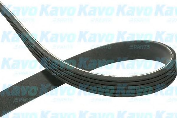 Поликлиновой ремень KAVO PARTS DMV-8524