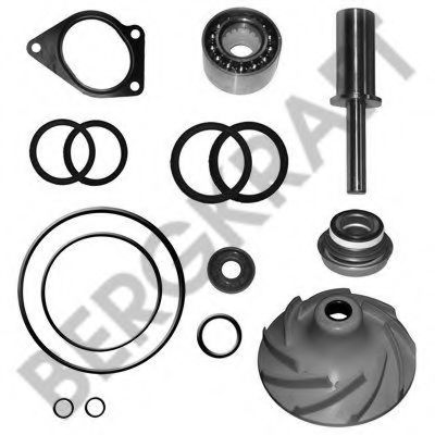 Ремкомплект, водяной насос BERGKRAFT BK4197722WP