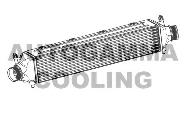 Интеркулер AUTOGAMMA 107539