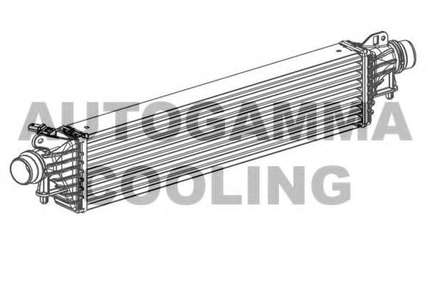 Интеркулер AUTOGAMMA 107547