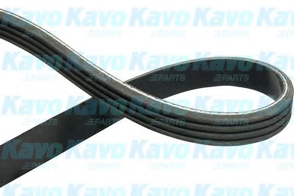 Поликлиновой ремень KAVO PARTS DMV-9104