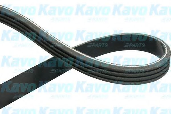 Поликлиновой ремень KAVO PARTS DMV-6551