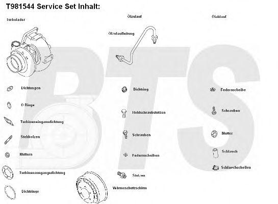 Компрессор, наддув BTS Turbo T981544