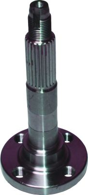 Ступица колеса BIRTH 3002