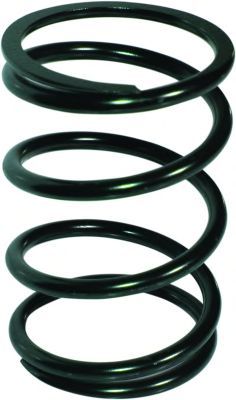 Пружина ходовой части BIRTH 8024