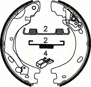 Комплект тормозных колодок, стояночная тормозная система TRISCAN 8100 17014
