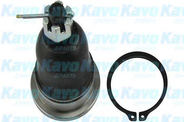 Несущий / направляющий шарнир KAVO PARTS SBJ-6526