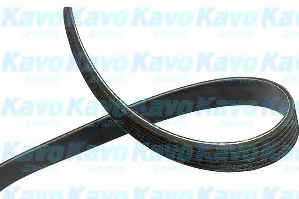 Поликлиновой ремень KAVO PARTS DMV-1004