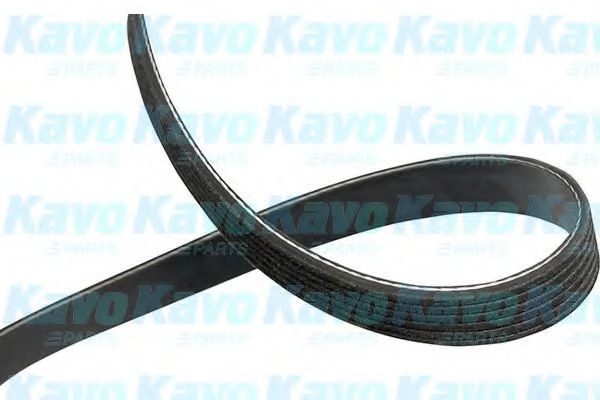 Поликлиновой ремень KAVO PARTS DMV-4538