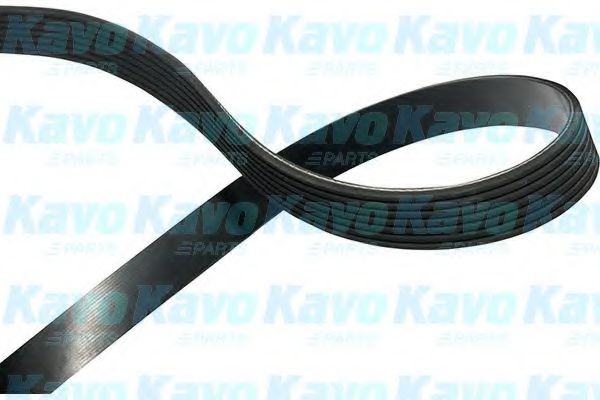 Поликлиновой ремень KAVO PARTS DMV-6538