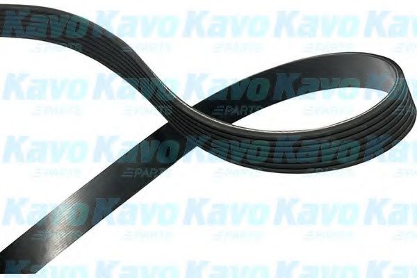 Поликлиновой ремень KAVO PARTS DMV-9111