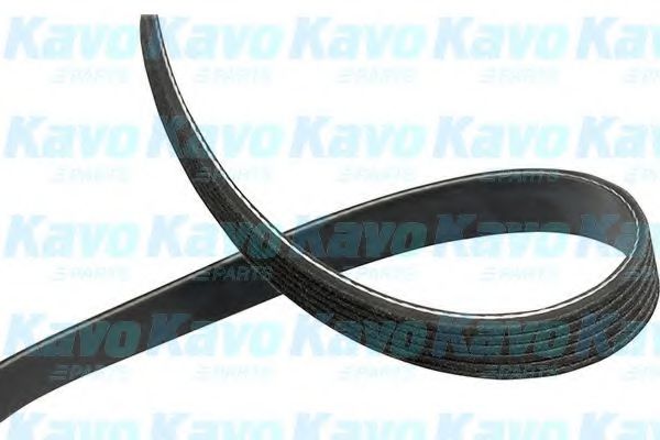 Поликлиновой ремень KAVO PARTS DMV-1539