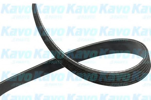 Поликлиновой ремень KAVO PARTS DMV-4549