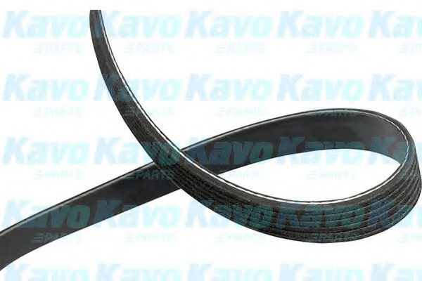 Поликлиновой ремень KAVO PARTS DMV-4568
