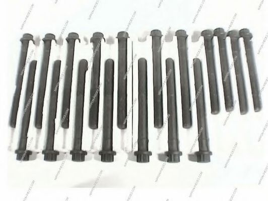 Комплект болтов головки цилидра NPS 9091002081