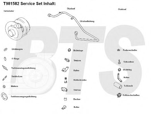 Компрессор, наддув BTS Turbo T981582