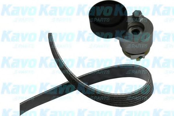 Комплект клинового ремня KAVO PARTS DKM-6502