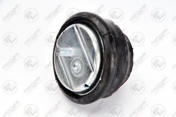 Подвеска, двигатель FORTUNE LINE FZ90533