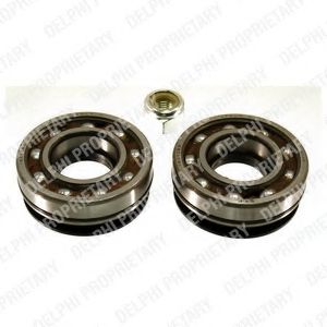 Комплект подшипника ступицы колеса DELPHI BK293