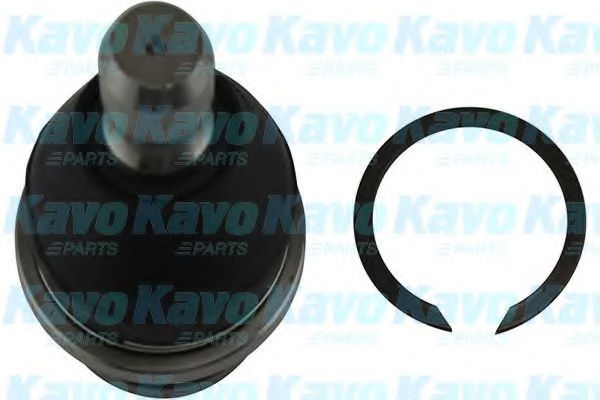 Несущий / направляющий шарнир KAVO PARTS SBJ-6550