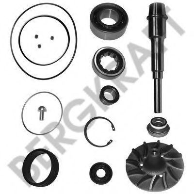 Ремкомплект, водяной насос BERGKRAFT BK4217722WP