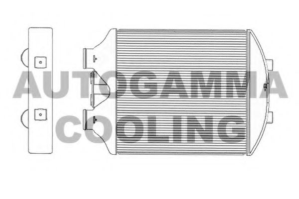 Интеркулер AUTOGAMMA 104447