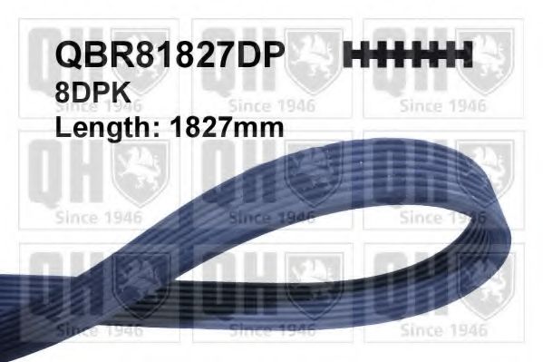 Поликлиновой ремень QUINTON HAZELL QBR81827DP