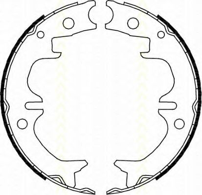 Комплект тормозных колодок, стояночная тормозная система TRISCAN 8100 13038