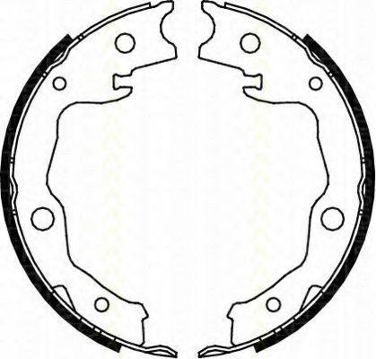 Комплект тормозных колодок, стояночная тормозная система TRISCAN 8100 13042