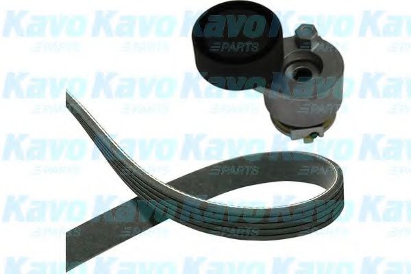 Комплект клинового ремня KAVO PARTS DKM-6501