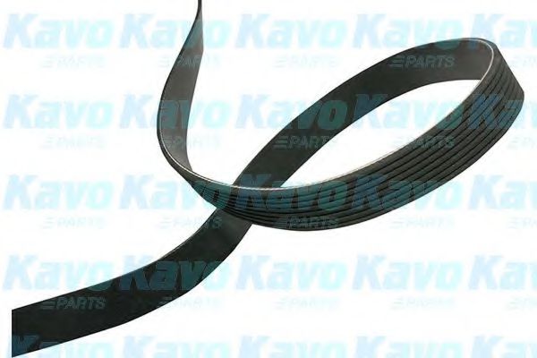 Поликлиновой ремень KAVO PARTS DMV-4545