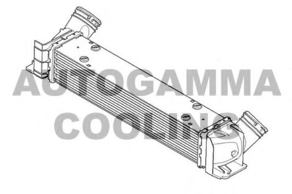 Интеркулер AUTOGAMMA 107335