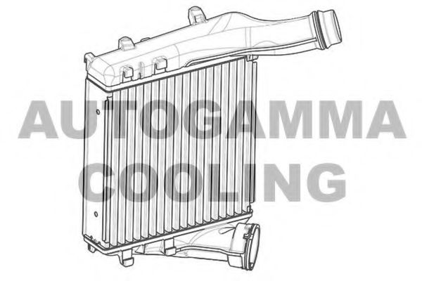 Интеркулер AUTOGAMMA 107553