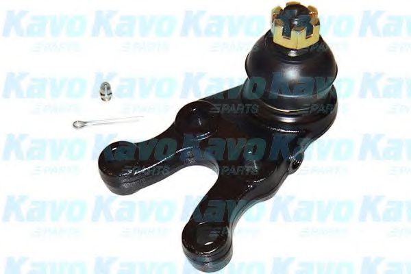 Несущий / направляющий шарнир KAVO PARTS SBJ-5524