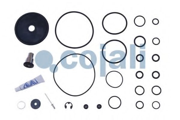 Ремкомплект COJALI 6012140