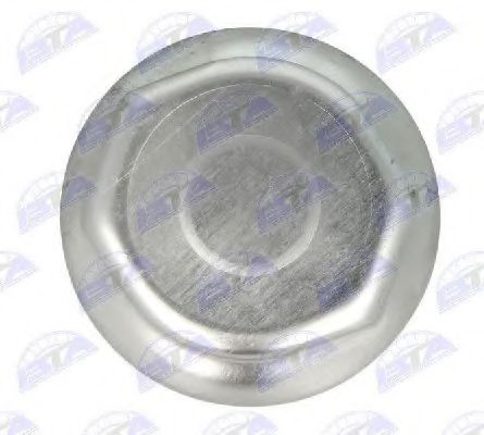 Облицовка, колеса BTA B09-BPW-005