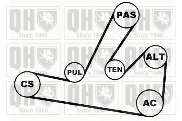 Поликлиновой ременный комплект QUINTON HAZELL QDK59