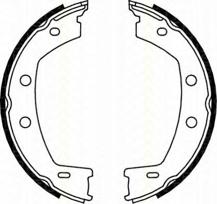 Комплект тормозных колодок, стояночная тормозная система TRISCAN 8100 17013
