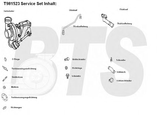 Компрессор, наддув BTS Turbo T981523