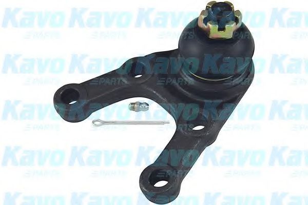 Несущий / направляющий шарнир KAVO PARTS SBJ-5505