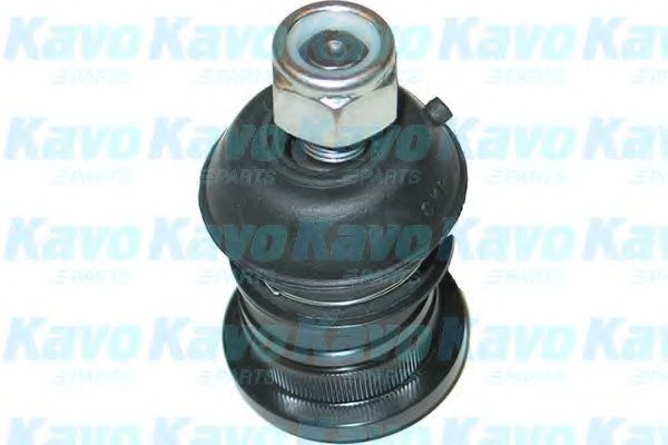 Несущий / направляющий шарнир KAVO PARTS SBJ-5512
