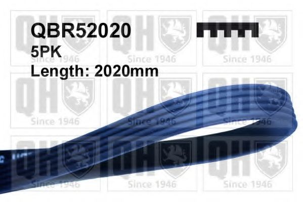 Поликлиновой ремень QUINTON HAZELL QBR52020