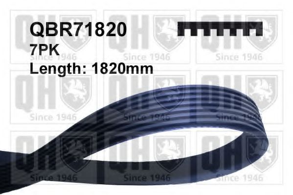 Поликлиновой ремень QUINTON HAZELL 7PK1820
