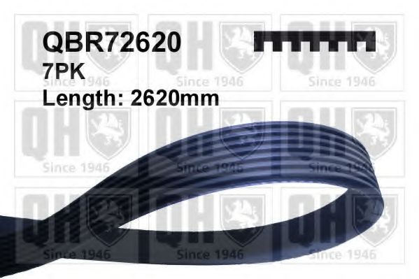 Поликлиновой ремень QUINTON HAZELL QBR72620