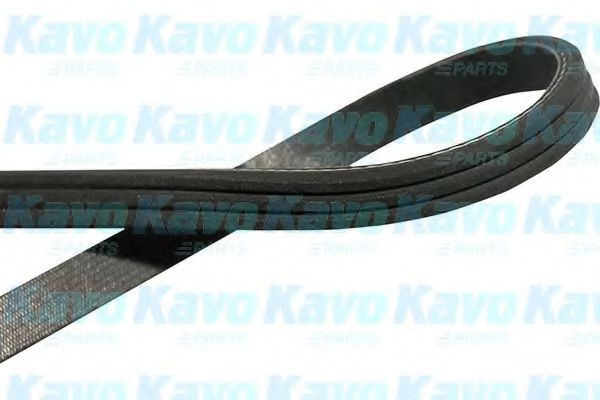 Поликлиновой ремень KAVO PARTS DMV-1501