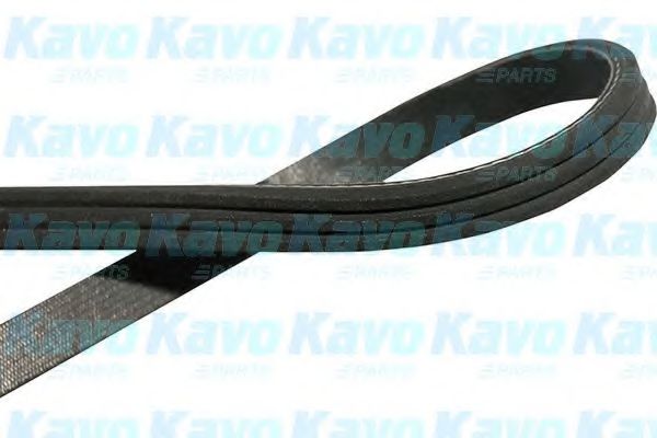 Поликлиновой ремень KAVO PARTS DMV-6549