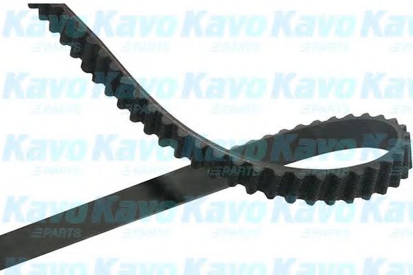 Ремень ГРМ KAVO PARTS DTB-1011